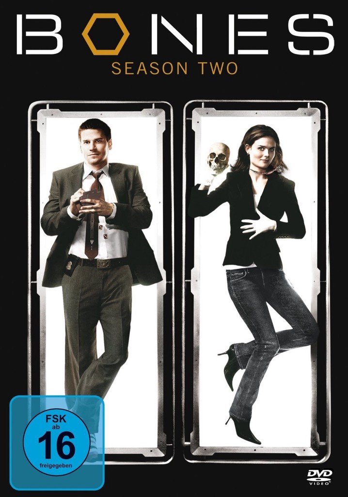 Bones Die Knochenjägerin Staffel 2 Stream anschauen